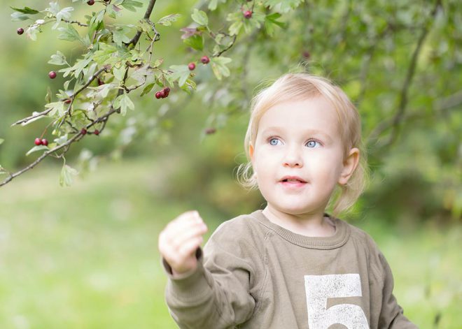 Kinderfotos Berlin: Mädchen pflückt im Park rote Beeren von einem Strauch